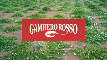 gambero rosso la nicchia pantelleria capers