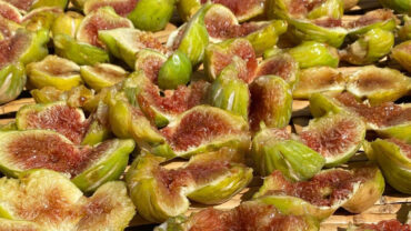 white dottato figs from cilento