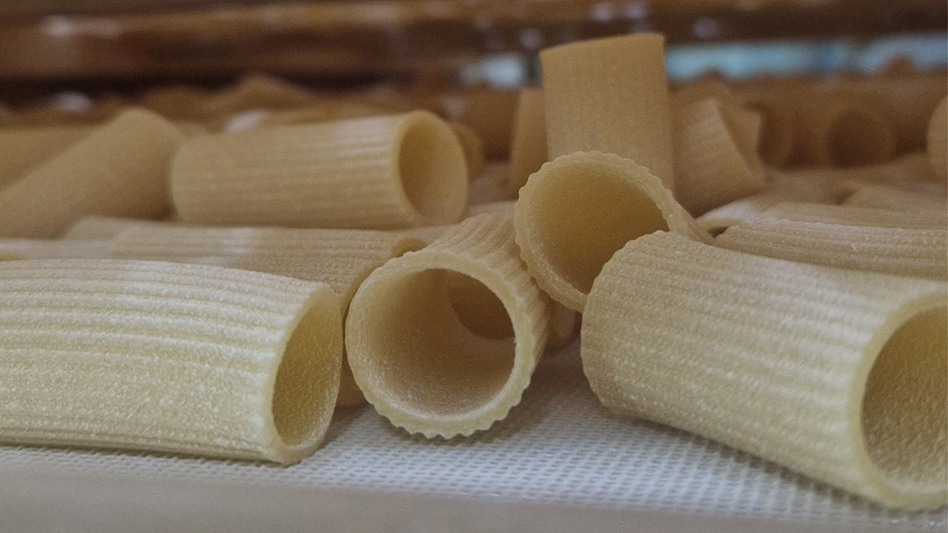 dried pasta faella rigatoni