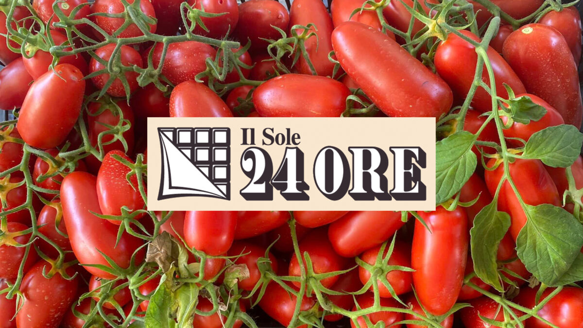 san marzano tomato il sole 24 ore